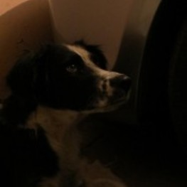 D 6591232e dbe5 468d bbb2 3bf56a6522d1