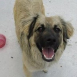 D dba88024 1e7b 4386 9801 4f81f7292225