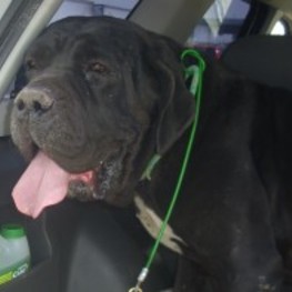 D 15517156 d1b5 4358 853a c12817038e80