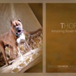 D 3ad5b549 aa6f 4475 821d 49d6f960cc6a