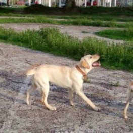 D 5731550c 8cb4 446e aae5 915d17999789