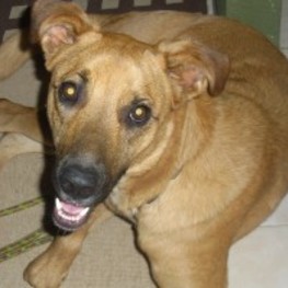 D 5d798cf5 12e9 4805 a9f5 3e1efa4283dc