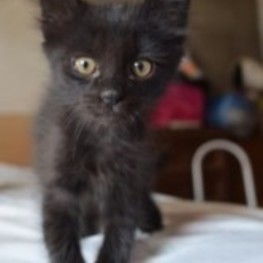 D 47188788 8dd7 4c99 9eb6 258b6ff8dec1