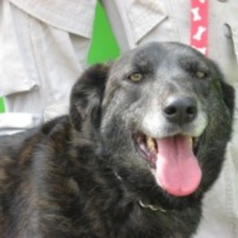 D 2537587d d0ff 4df2 83fe bd73fca048a5