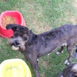 D e04cf14c 1c59 4429 8fe0 ee2ec6bb3dce