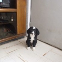 D e59c7a93 68a3 4399 a385 1f4b9a259116