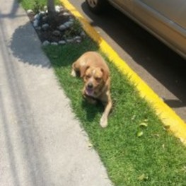 D 98e81657 5d19 4c40 9961 41d46b4a11a8