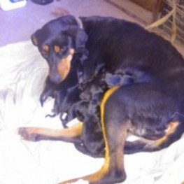 D 32b94915 6911 46fd a103 59c30c608fb5