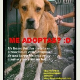 D 9ad2c913 f5b8 4aaa a629 364484aff0db