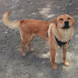 D 9b57c915 bda4 4ddc 8e33 924e12c42f76