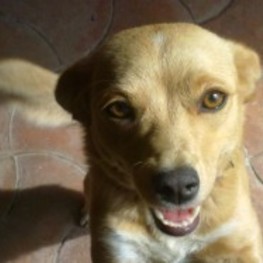 D 0feabb10 959b 4fe8 a8da 0849c7da2877