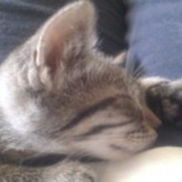 D 298ea822 4908 46eb 8fcb 2845f8439d7b