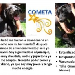 D cc77beda 78a0 4cd2 8b88 0c7d46412e26