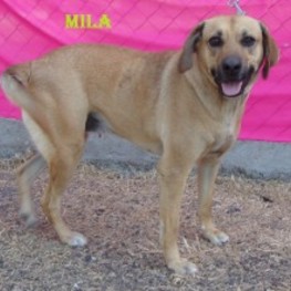 D 89d3d027 b97a 4a78 a48c 38834a02ee47