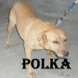 D de796008 3db7 45e9 98f6 0a1d81309c1f