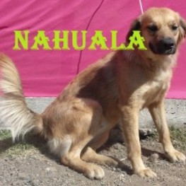 D d2621643 ed18 4b89 8255 10515290048a