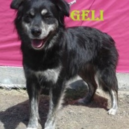 D 8d31e983 776e 4730 9943 03f8b5122291