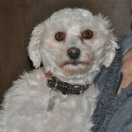 D 73ac233d 643f 47fc 9473 0dc5191f7261