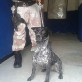 D df41e224 615f 4623 b4d7 fa3752c1decb