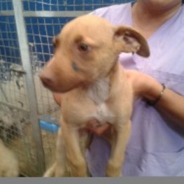 D d01a4694 f663 4dcb b066 475bbdad0dd9