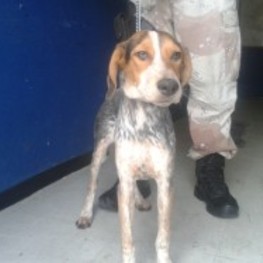 D 6af1ecc9 3621 465c abc4 b13b7c8ac3ba