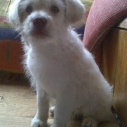 D f5558ec5 9f0a 46d1 8779 b6d733d98fec