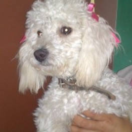 D 4a14d4a7 ab1a 439d 9438 102a33682f4d