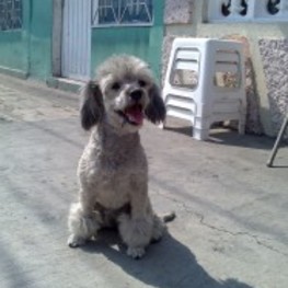 D edba02c0 61ee 4591 bde6 4550ba30b983