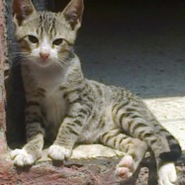 D 9fa9c802 6142 458a 847d 98be02a85f8b