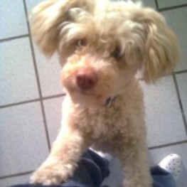 D 71873a93 af52 49b6 8e03 8ecf38be053e