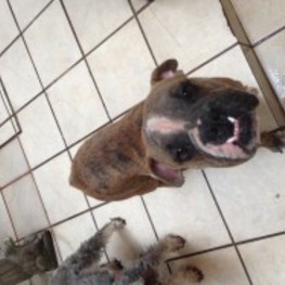 D e894f3e8 b305 40cc 82a7 0a9d3dda8169