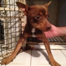 D 661965f0 0252 4399 8d05 821b8f13374e