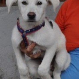 D 8a36bb67 2746 41eb 8505 63d673e2410e