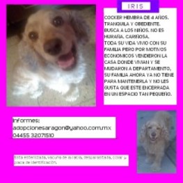 D 6167ab32 27a2 4982 9aa4 36a449981b2e