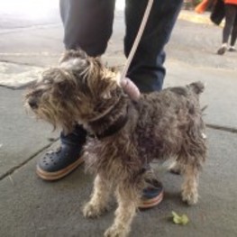 D 75064798 3c91 4b30 97ca dae231d5855f