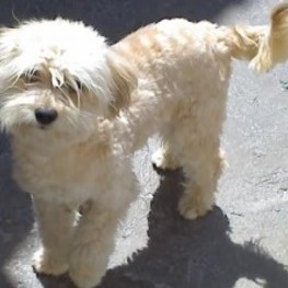 D 1fddec47 1949 44b8 8f7b 3ba4141839e4