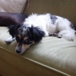 D a466765f 6332 4c6a be7a 8baf2db4a3c8