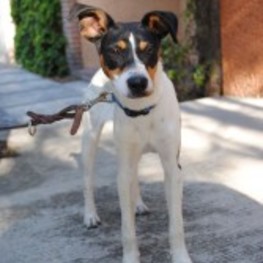 D ee8ff1eb ab07 4d5a 956b 8b0db5c40c1c