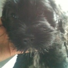 D 6a5020ee 69d3 4034 aefd 33fbd63fbb18