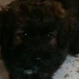 D 1aac51f7 3e0d 4796 858d 5eae1a95db6f