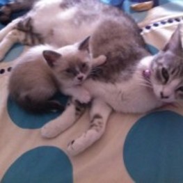 D 532affed 23dd 47a5 9388 a4059779fbd3