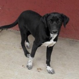 D f7eb1264 b41d 44fa a499 36bd35068baa