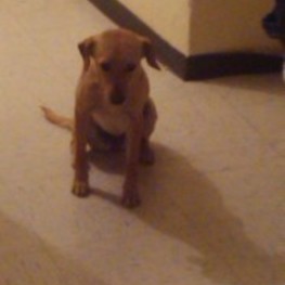 D c025e5ee 50d5 4aac 971d a48f1984ae32