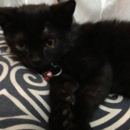 D a095e7a4 2325 469d b3b5 1d09d4f0e240