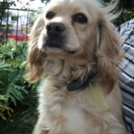 D 5215be79 7555 4e51 bfef 594e571232fc