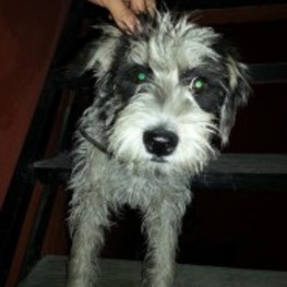 D 5d262b52 5e70 4e70 a58f e5d6b372bfcc