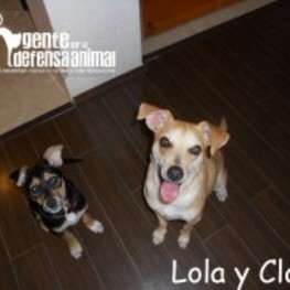 D c7452da2 97d8 470e bfc8 8f69568a4138