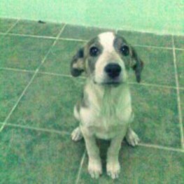 D 876a1ad4 5970 44e0 8bd6 d2615bd2030d