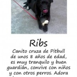 D 8871b85d cf1f 4000 bb9c 8c476a7d81ab