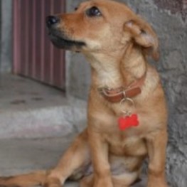 D 508a7a2d 6729 4725 9c9a 0064510bcb13